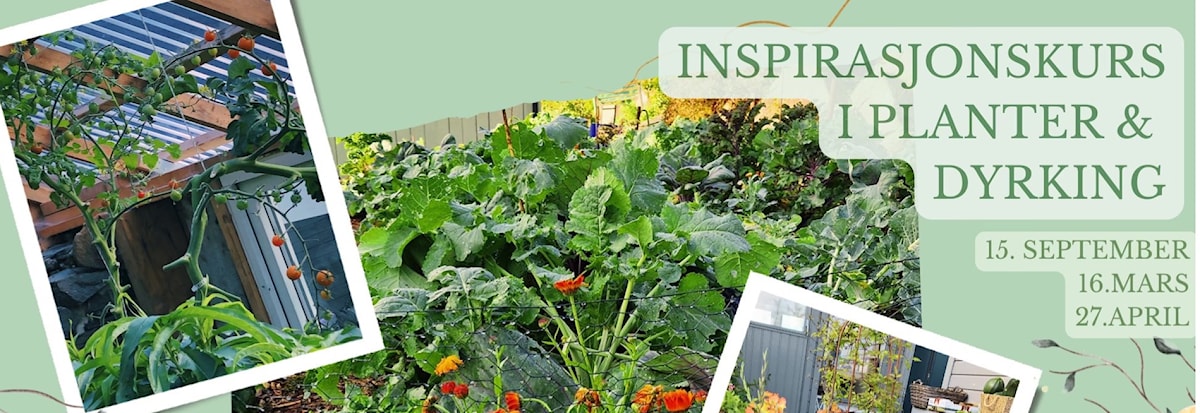 Holistisk kurs i planter og dyrking